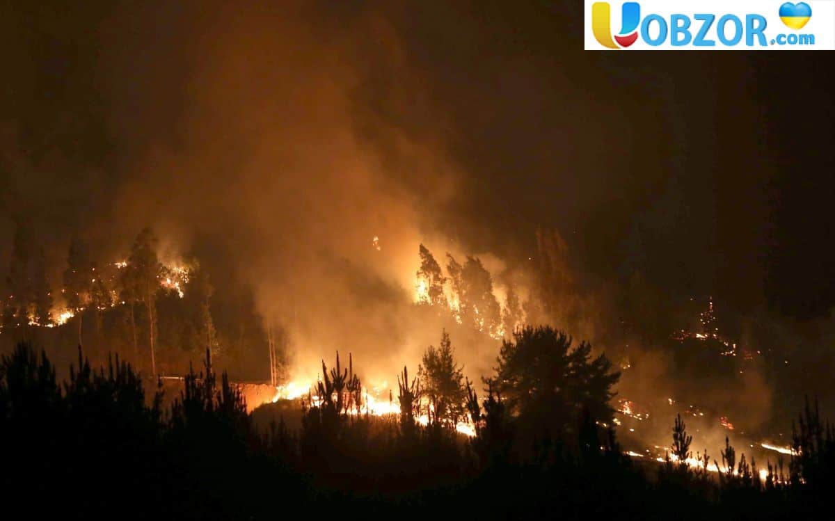 В Арізоні вечірка стала причиною лісової пожежі з мільйонним збитком. +Відео