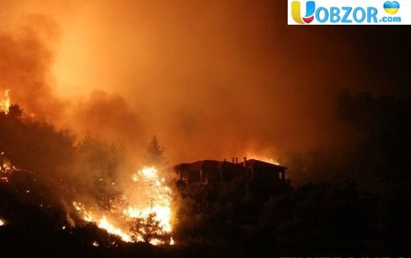 Лісова пожежа в Греції. Число жертв зросло до 100