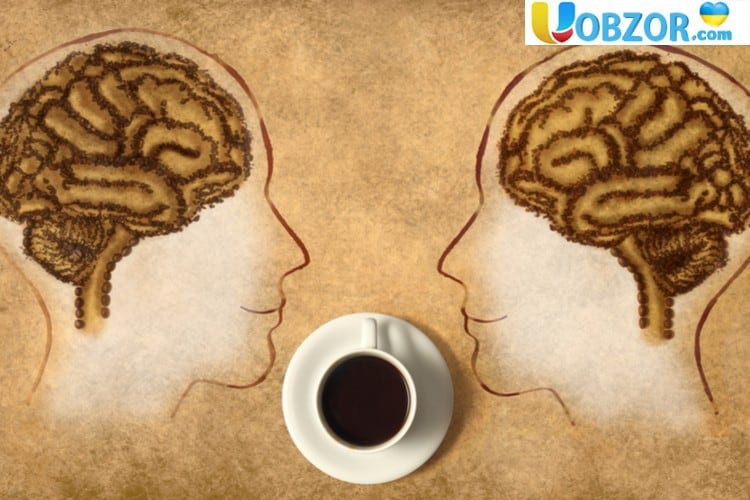Кава не тільки бадьорить, але і захищає від деградації мозку