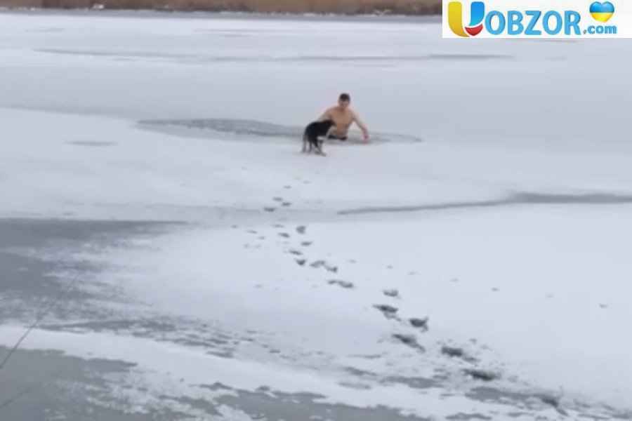 У Миколаєві чоловік врятував собаку, яка провалилася під лід