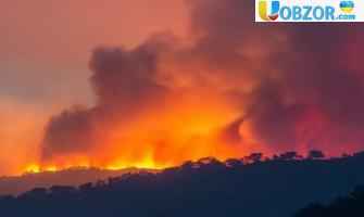 Лісова пожежа в Новій Зеландії: влада евакуювала місцевих жителів
