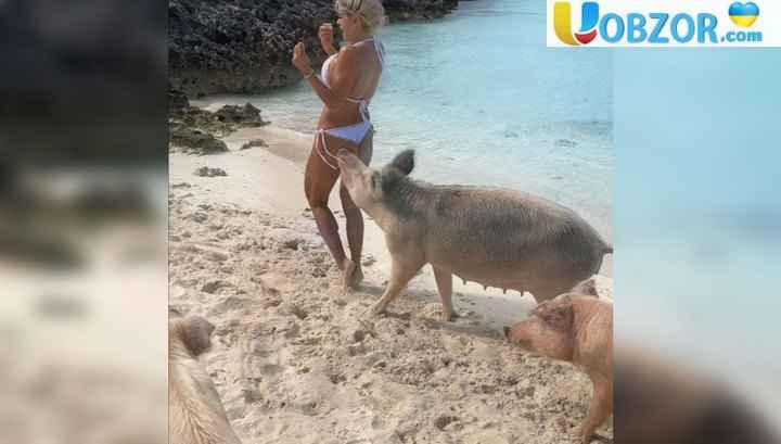Дика свиня вкусила за сідницю відому модель, яка гуляла по пляжу