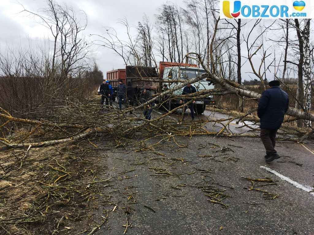 Непогода в Україні: знеструмлено понад 500 населених пунктів в 15 областях