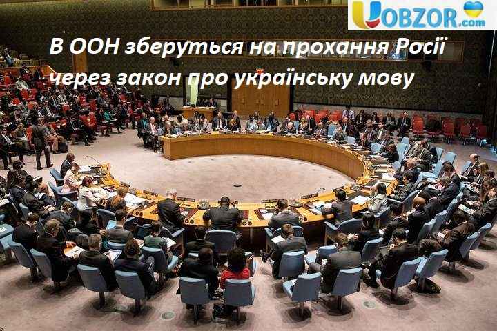 В ООН зберуться на прохання Росії через закон про українську мову