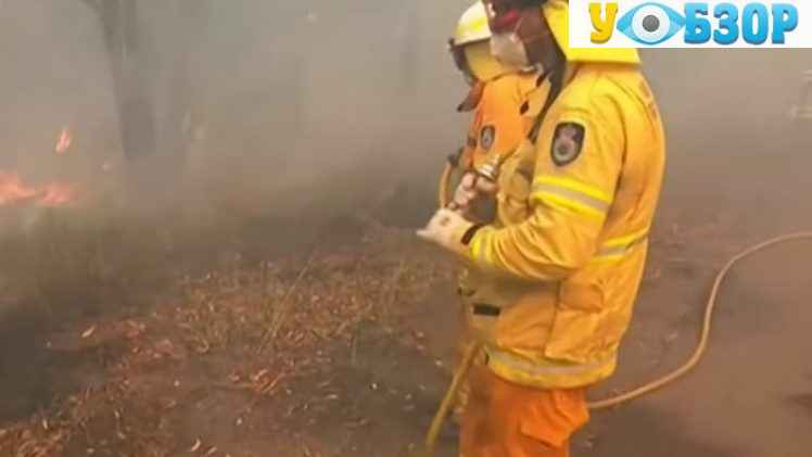 Лісові пожежі в Австралії: оголошено надзвичайний стан
